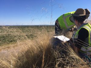 New mining rehabilitation guarantee launched for Africa